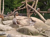 KKK_Zoo02