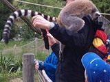 KKK_Zoo10