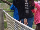 KKK_Zoo11