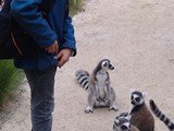 KKK_Zoo14