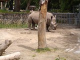 KKK_Zoo15