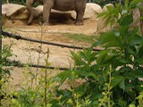 KKK_Zoo19