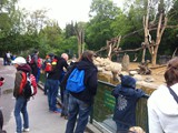 KKK_Zoo22