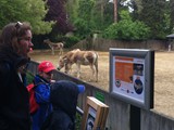 KKK_Zoo23