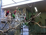 KKK_Zoo32