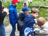KKK_Zoo42