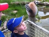 KKK_Zoo43