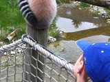 KKK_Zoo44