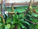 KKK_Zoo53