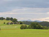 Sommerfest_46