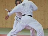 TSV_Fest_70