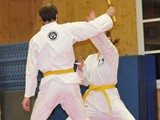 guertelpr_0042