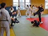 sat1_0031